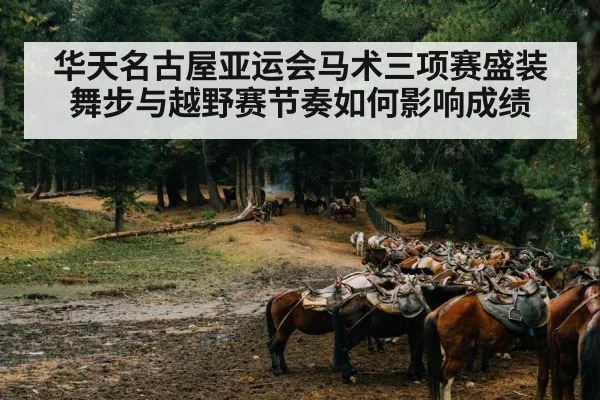 华天名古屋亚运会马术三项赛盛装舞步与越野赛节奏如何影响成绩